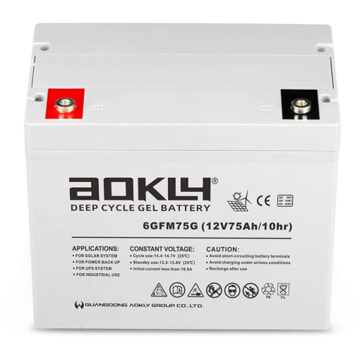 Batería Aokly Gel Vrla GEL. 6GFM75G. 75 Ah (C10) 12V. 260x168x210mm