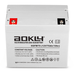 Batería Aokly Agm Vrla Battery AGM. 6GFM75. 75 Ah (C10) 12V. 260x168x210mm