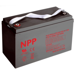 Batería Npp Power NPD12-100AHT16. 100 Ah (C10) 12V. 330x171x214/220mm