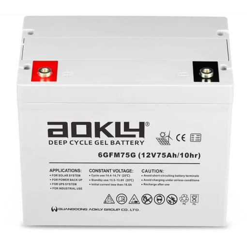 Batería Aokly Gel Vrla GEL. 6GFM75G. 75 Ah (C10) 12V. 260x168x210mm - Imagen 2